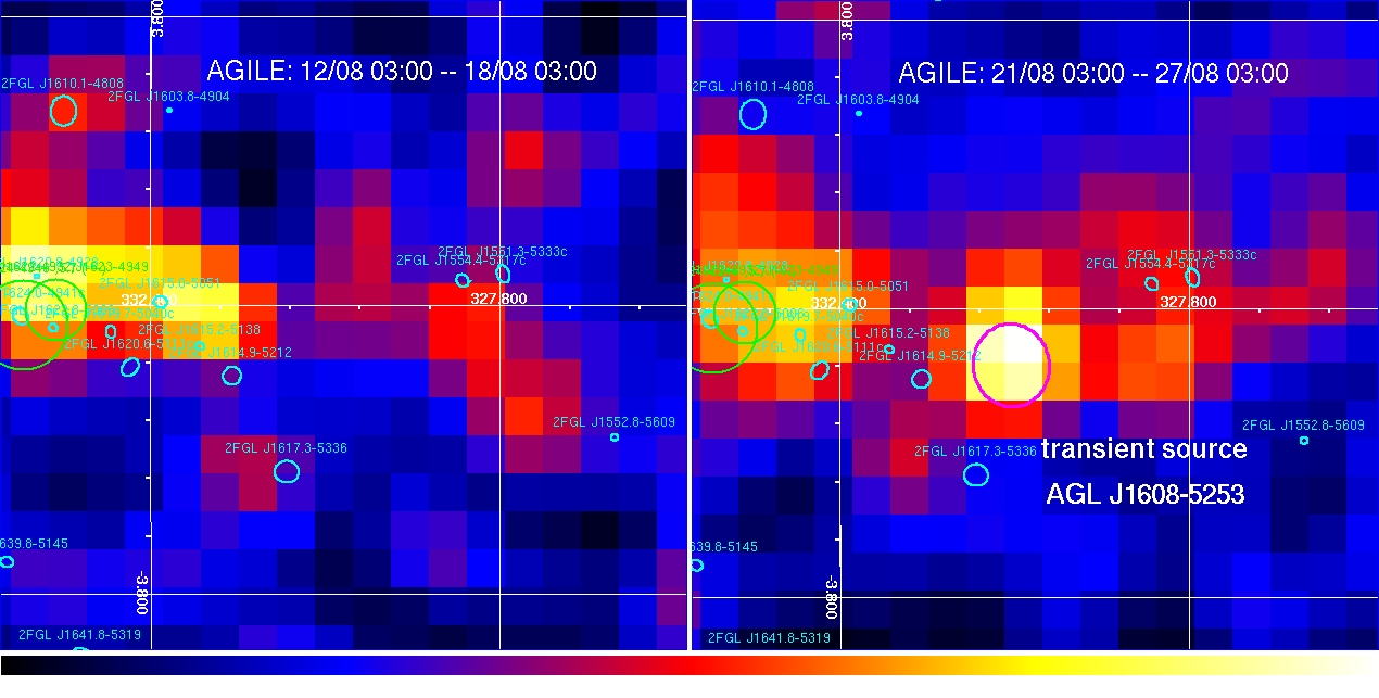 AGILE new transient